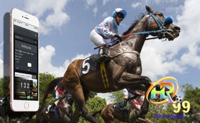 Kinh nghiệm chơi cá độ đua ngựa bất bại cho bet thủ 3 Đặt cược hợp - kinh nghiệm chơi cá độ đua ngựa