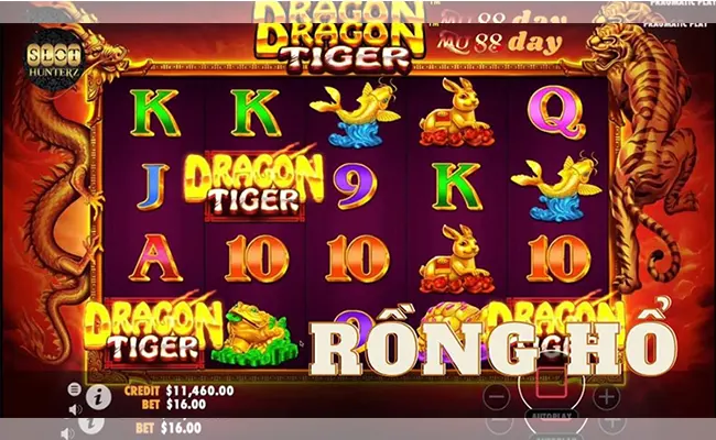 Cách Chơi Rồng Hổ 1 rong ho 1