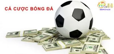 Top 5 trang web cá cược thể thao uy tín nhất trên thị trường Việt Nam 2 Những điều cần nắm khi tham gia cá cược thể thao